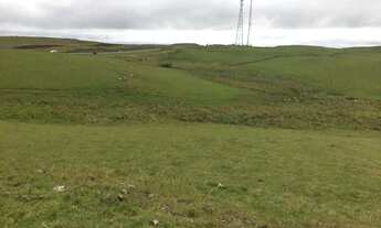 Imagem 3: Lote em São Francisco de Paula - Centro - São Francisco de Paula/RS