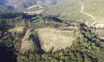 Imagem 2: Chácara formada Campo Magro 56.000² ou 5,6 hectares com casa sede e caseiro