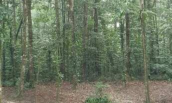 Imagem 6: Aproveite!! Excelente Terreno no Alphaville. Melhor Localização, Logo na entrada