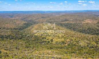 Imagem 4: Fazenda bruta a venda no município de Monte do Carmo