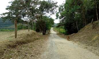 Imagem 2: Sitio 3 alqueires Miracatu SP