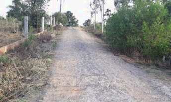 Imagem 4: Sítio em Taquara