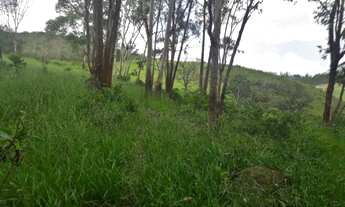 Imagem 5: Fazenda 30 Hectares em Passa Tempo Casa Sede Boa com Muita Agua
