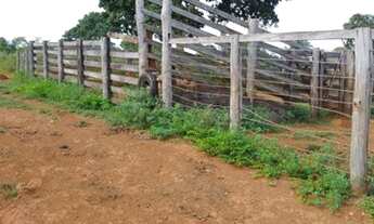 Imagem 2: Fazenda 80 alqueires dupla aptidão 65 mil alqueires Palmeirópolis TO