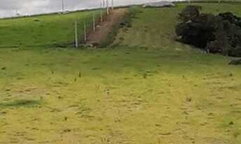 Imagem 5: Loteamento fechado às margens da represa