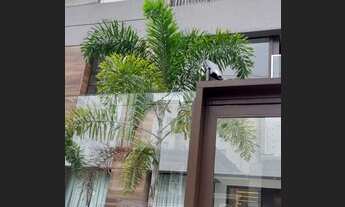 Imagem 3: Apartamento para aluguel possui 53 metros quadrados com 2 quartos