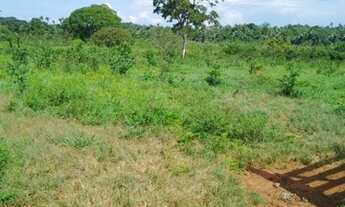 Imagem 5: Fazenda 80 alqueires dupla aptidão 65 mil alqueires Palmeirópolis TO