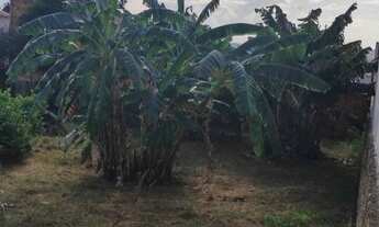 Imagem 7: Tatuí Santa Rita de Cássia