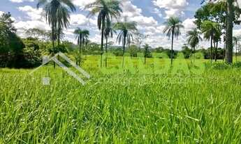 Imagem 4: Fazenda a venda com 36 alqueires e pecuária rotacionada na região de Formosa - GO