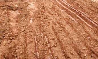 Imagem 5: Terreno para Venda em Florianópolis, Trindade