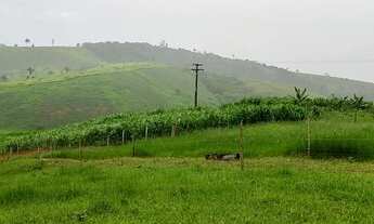 Imagem 3: Sítio maravilhoso