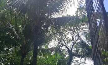 Imagem 5: Mini Sítio em Santa Cruz