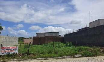 Imagem 6: Vendo terreno em São Gonçalo (vendo ou troco