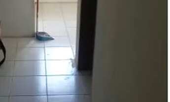 Imagem 2: Apartamentos de um e dois quartos