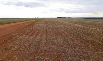 Imagem 3: Fazenda de 26.096 em Nova Mutum - MT