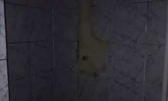 Imagem 2: Casa para aluguel tem 40 metros quadrados com 1 quarto em Parque Doroteia - São Paulo - SP