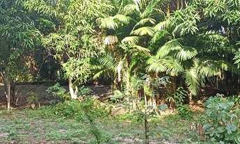 Imagem 3: Excelente Sitio a poucos metros da BR no Maracanã!