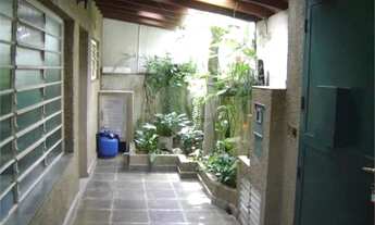 Imagem 3: QUINTAL, MUITO VERDE, RUA TRANQUILA!