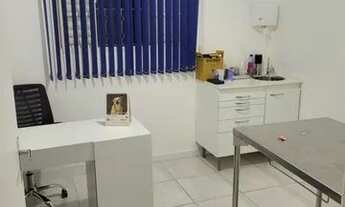 Imagem 4: Vendo clínica veterinária