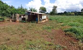 Imagem 5: LINDA CHACARA COM 5,3 HECTARES SENTIDO ROCHEDINHO EM CAMPO GRANDE MS 5462QM