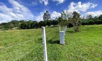 Imagem 2: Lf1-Vendo terreno com visão ampla