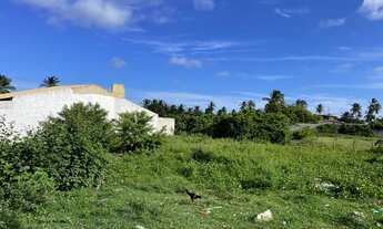 Imagem: Terreno / Sarnei