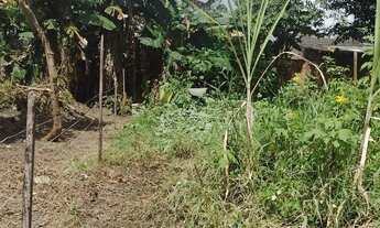 Imagem 1: Vendo um terreno