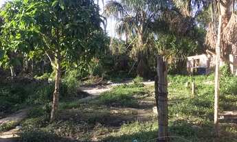 Imagem 6: Vendo um terreno