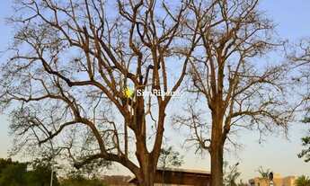 Imagem 2: Terreno a venda no Alphaville. Bairro Alphaville Ribeirão Preto