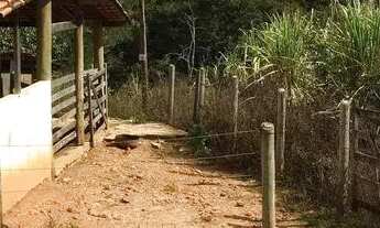 Imagem 5: Sitio / fazenda / fazendinha / jaboticatubas