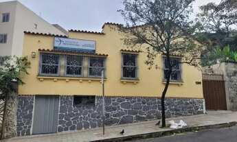 Imagem: BELO HORIZONTE - Padrão - Floresta