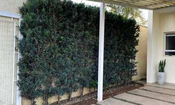 Imagem 2: Casa de condomínio para venda tem 104 metros quadrados com 2 quartos em Jardim Convenção