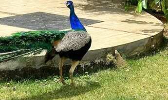 Imagem 3: Casa smt moderna