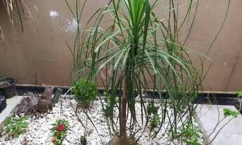 Imagem 7: Casa Residencial para aluguel, 3 quartos, 1 suíte, 2 vagas, Vila Castelar - Limeira/SP