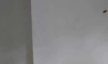 Imagem 4: Apartamento com 2 dormitórios à venda, 40 m² por R$ 231.290,18 - Fazenda Caguaçu - São Pau