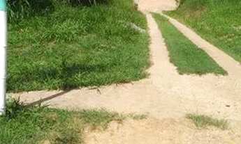 Imagem: Chácara com 2 dormitórios à venda, 3