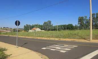 Imagem 4: Terreno Padrão em São José do Rio Preto