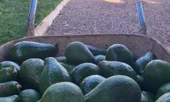 Imagem 2: Troco ou vendo chácara com casa nova na laje