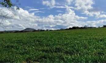 Imagem: Fazenda com 709 hectares e 10 km de margem