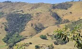 Imagem 5: Lindo Sítio em Amparo, SP, com lago e plantação de eucalipto