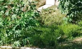 Imagem: EXCELENTE TERRENO DE ESQUINA possui 465