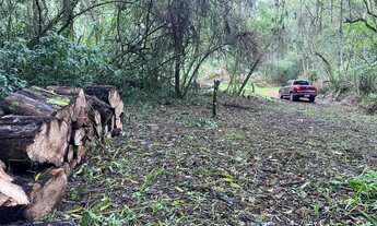 Imagem 2: Sítio Meia/ Hectare - Morro Reuter RS - proximo da tenda umbu Parcela direto