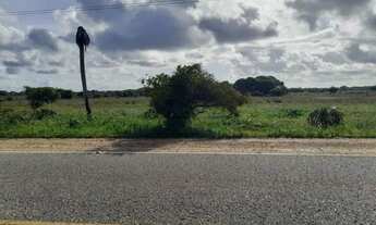 Imagem 4: TERRENO ENTRE A PRAIA DO ABAÍS X PRAIA DO SACO