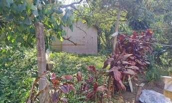 Imagem 2: Terreno 500m2 Direto com proprietário