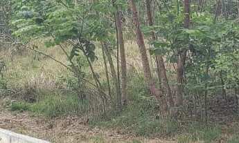 Imagem 5: Vendo terreno 1.256 M2 em Araruama