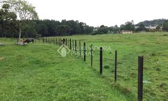 Imagem 2: Propriedade Rural no bairro Serra Grande