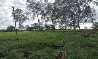 Imagem 4: Venda Commercial / Agricultural Curvelo MG