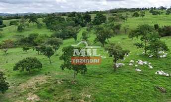 Imagem 6: Fazenda 360 alqueires (1.742 hectares ) Catalao - GO