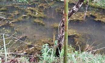Imagem 2: 8 mil mts com.agua propria apenas 63mil reais