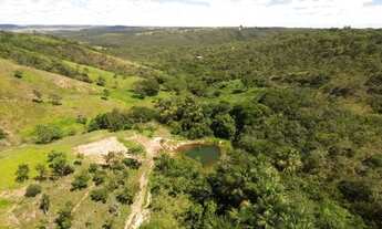 Imagem: Fazenda dupla aptidão em Campo Alegre de